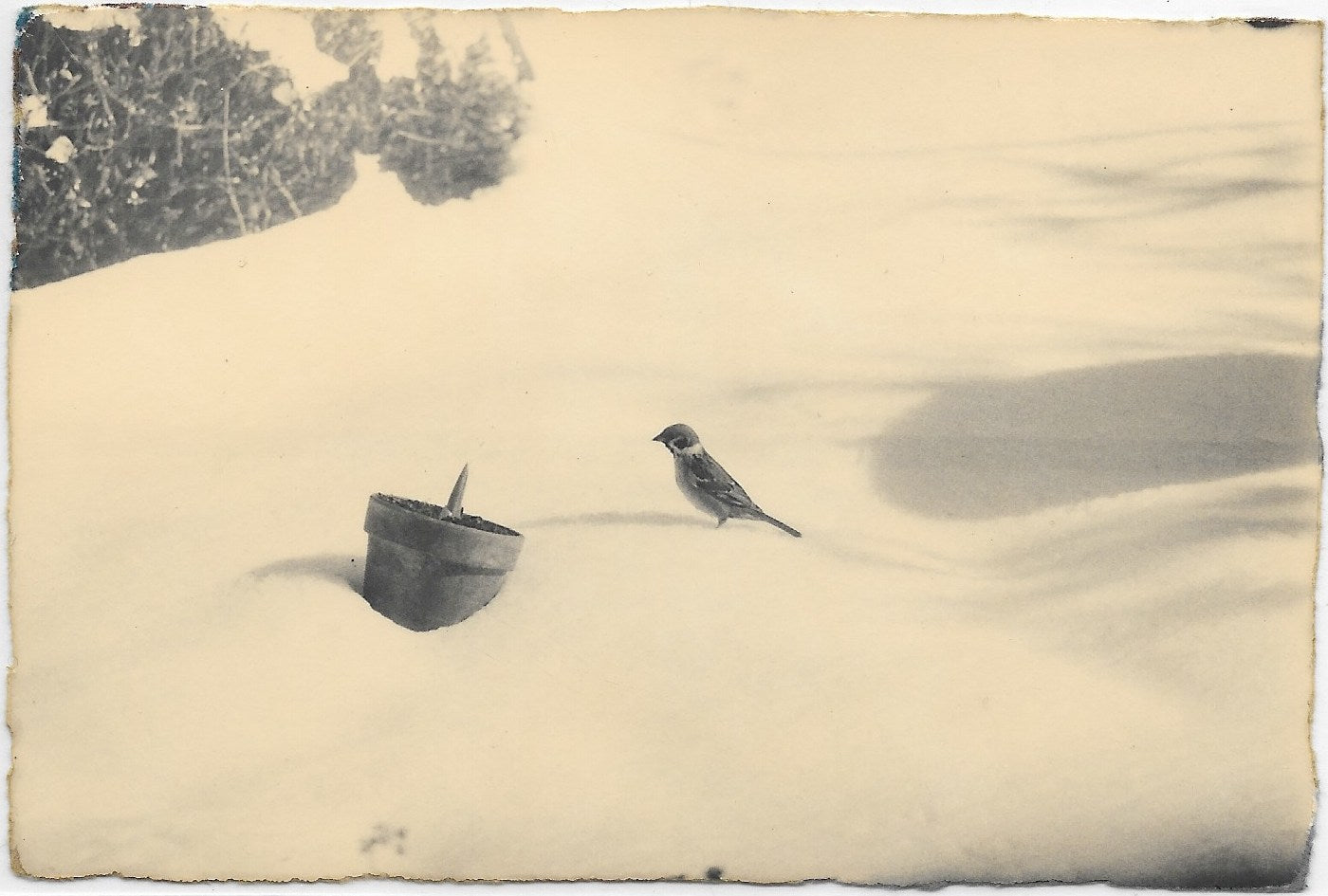 Masaoページ Masao Yamamoto: #0077, Ku – 28 Vignon Street