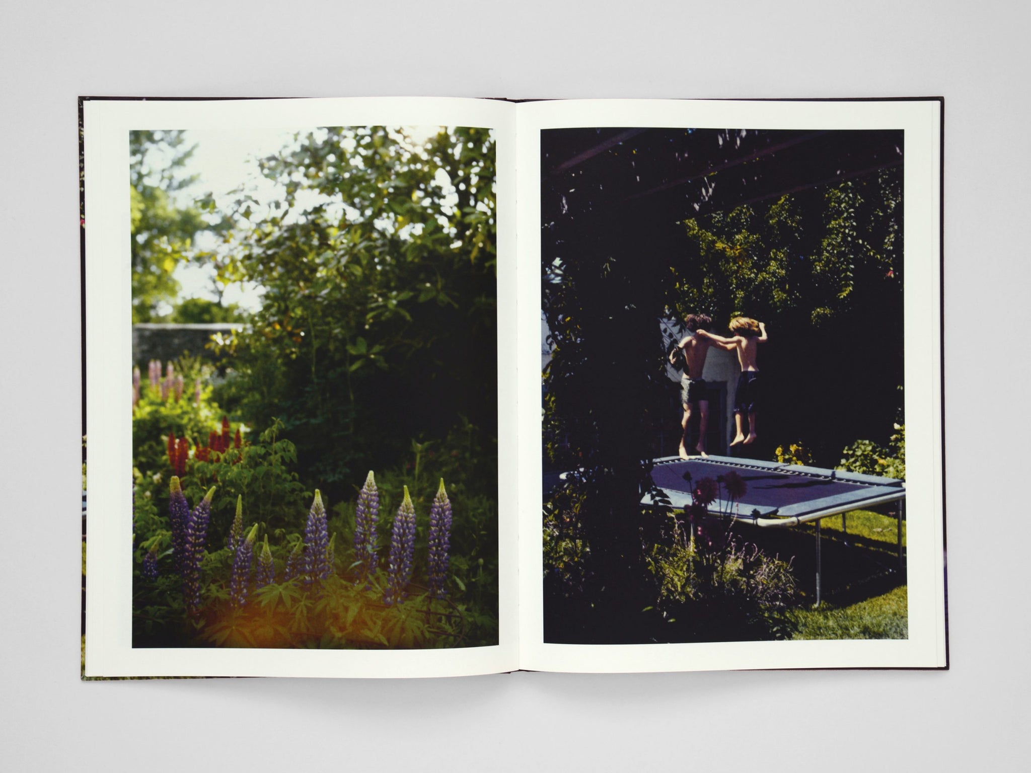 FRANCOIS HALARD: Polaroids – 28 Vignon Street