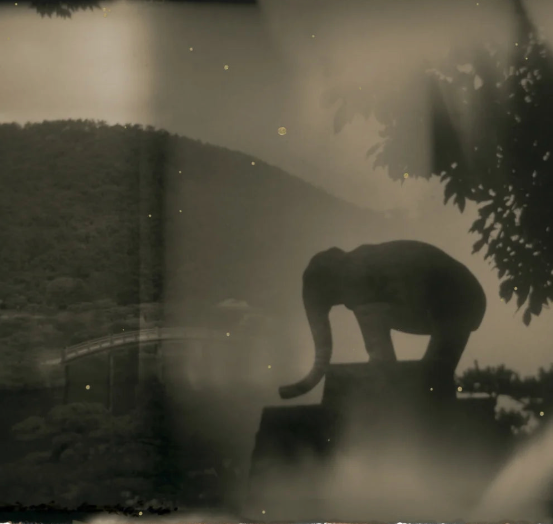 YAMAMOTO MASAO: Kurayami – 28 Vignon Street